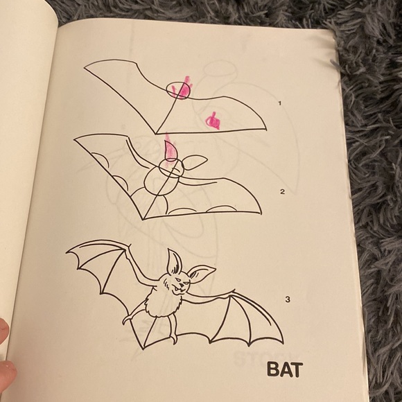 I Can Draw Animals BOOK - Picture 4 of 8